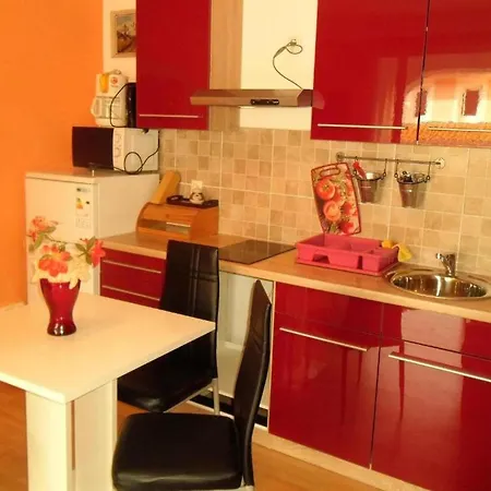 Sea View With Terrace Kitchen Opatija